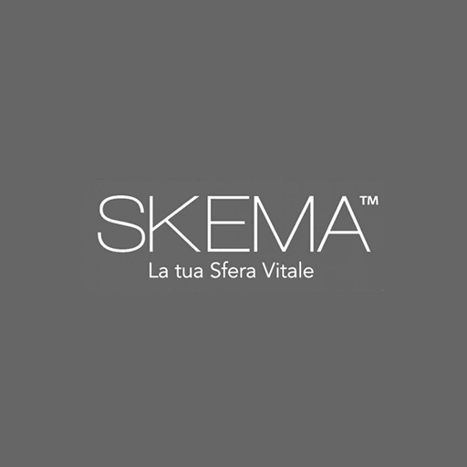 logo skema