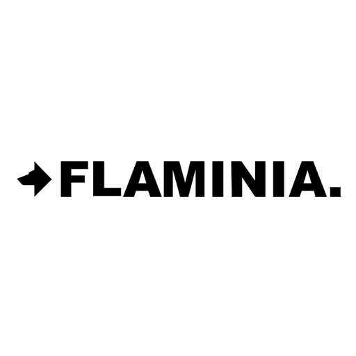 logo flaminia